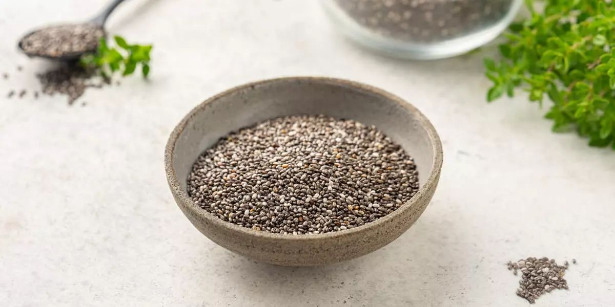 Какое удобрение лучше для марихуаны: удобряем коноплю правильно